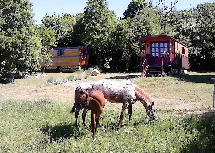 La Grange D'emile Gites, Roulottes Et Piscine Кемпинг